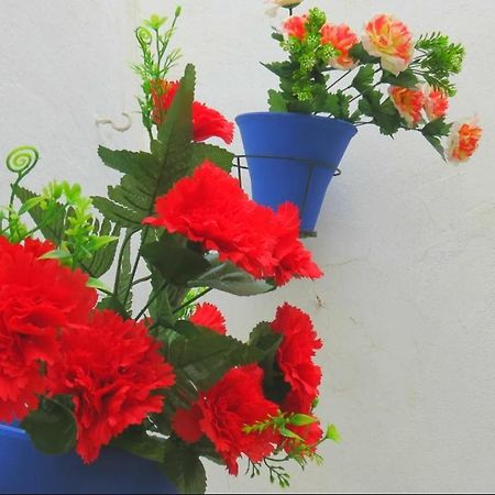 Apartamento Casa Mozarabe Cordoba Luaran gambar
